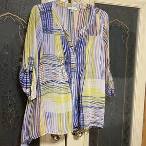 Women’s plus size tunic